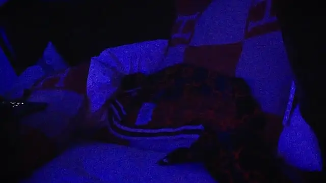 Snapshot of YouLikeBigDick9 chatting on March 2025 07:41:01 AM YouLikeBigDick9 online show from March 2025 07:41:01 AM