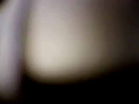 Snapshot of Mic_Oxinner chatting on December 2024 03:25:01 AM Mic Oxinner online show from December 2024 03:25:01 AM