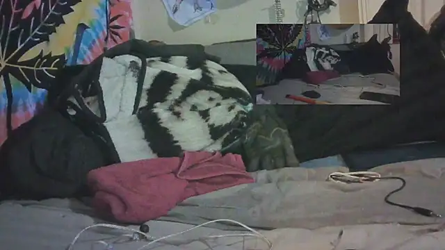 Snapshot of jaxx12369 chatting on February 2025 12:17:02 AM jaxx12369 online show from February 2025 12:17:02 AM