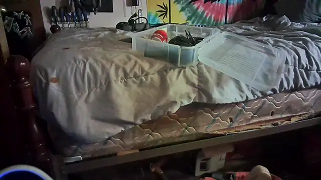 Snapshot of jaxx12369 chatting on February 2025 06:12:01 PM jaxx12369 online show from February 2025 06:12:01 PM