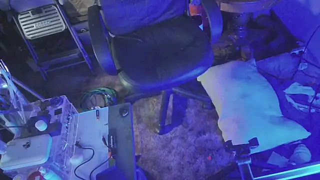 Snapshot of jaxx12369 chatting on February 2025 10:04:02 AM jaxx12369 online show from February 2025 10:04:02 AM