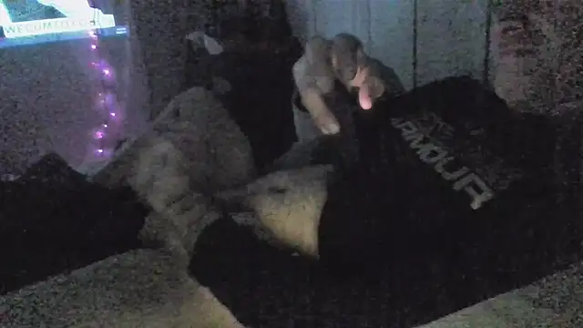 Snapshot of jaxx12369 chatting on December 2025 06:55:02 AM jaxx12369 online show from December 2025 06:55:02 AM