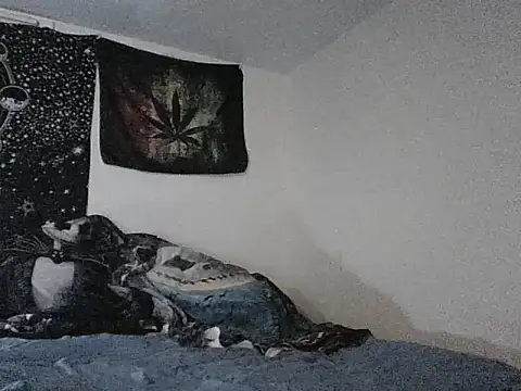 Snapshot of webetokinmo420 chatting on November 2025 10:29:01 AM webetokinmo420 online show from November 2025 10:29:01 AM