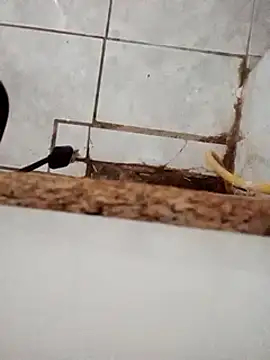 DirtyRcride online show from December 2024 08:16:01 AM