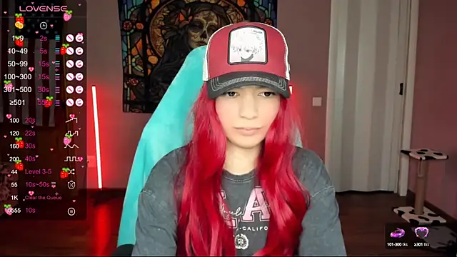 Snapshot of Project_hisoka chatting on January 2025 10:41:02 AM Project hisoka online show from January 2025 10:41:02 AM