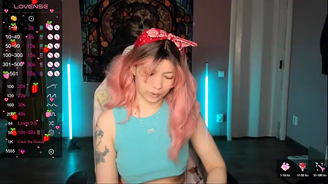 Project hisoka online show from February 2026 03:38:01 PM