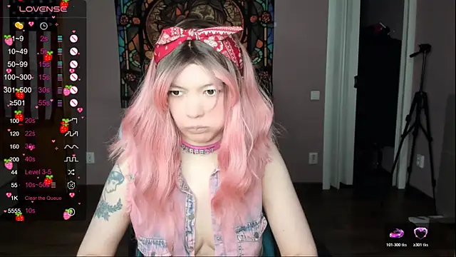 Project hisoka online show from April 2026 01:43:01 AM