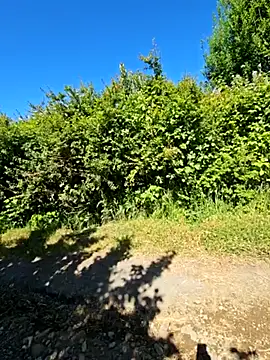 Reinacatchile online show from December 2024 07:36:01 PM