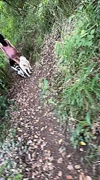 Reinacatchile online show from February 2025 10:55:02 PM