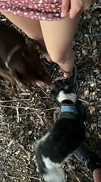 Reinacatchile online show from February 2025 11:58:02 PM