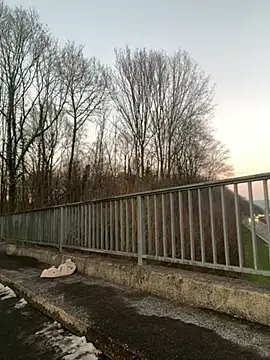 Snapshot of NickyGold_Official chatting on January 2025 04:10:01 PM NickyGold Official online show from January 2025 04:10:01 PM