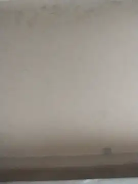 tatoocba88 online show from November 2025 06:43:01 PM