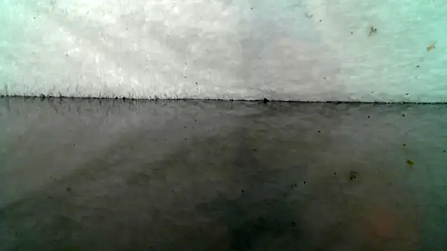 Snapshot of 0815lukas2024 chatting on October 2025 09:03:01 PM 0815lukas2024 online show from October 2025 09:03:01 PM