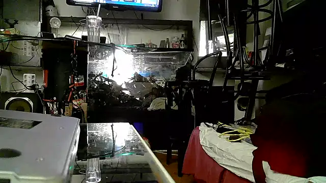 Snapshot of 0815lukas2024 chatting on November 2025 05:03:01 PM 0815lukas2024 online show from November 2025 05:03:01 PM