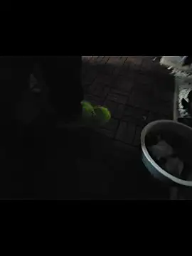 Snapshot of 0815lukas2024 chatting on November 2025 11:54:01 PM 0815lukas2024 online show from November 2025 11:54:01 PM