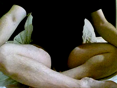 pollarikaaa online show from December 2024 04:42:01 AM