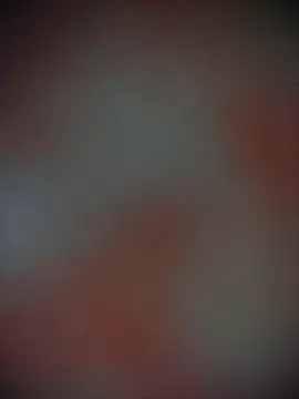 Snapshot of Bengoli--bhabhi chatting on November 2025 12:37:02 PM Bengoli--bhabhi online show from November 2025 12:37:02 PM