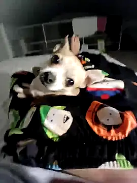 litleboy92 online show from November 2025 01:25:02 AM