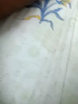 Snapshot of sat_1234 chatting on November 2025 02:50:02 PM sat 1234 online show from November 2025 02:50:02 PM