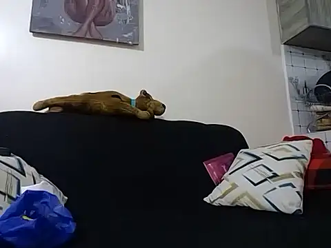 hoely grail01 online show from December 2025 07:54:02 PM