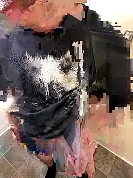 Chuckie 999 online show from December 2025 09:21:02 PM