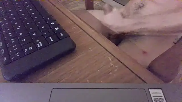 Snapshot of nicolaaaaas chatting on February 2025 04:58:01 AM nicolaaaaas online show from February 2025 04:58:01 AM