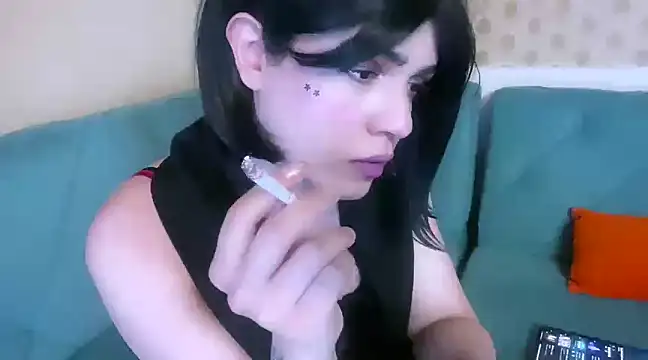 Arab tgirl online show from December 2024 09:28:02 PM