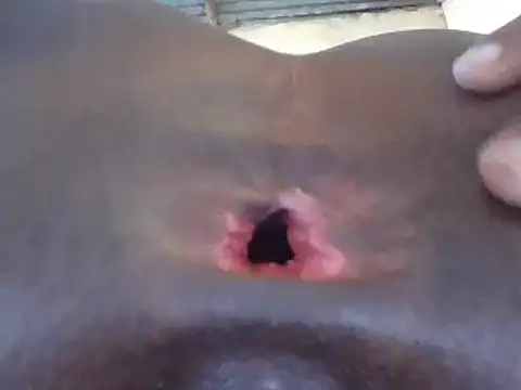 petitev online show from December 2024 01:22:01 PM