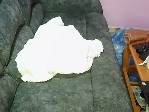 petitev online show from November 2025 09:41:02 AM