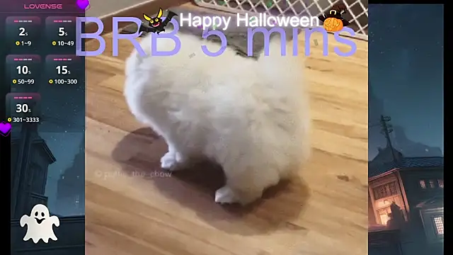 Snapshot of Lovensetest chatting on May 2026 02:18:01 AM Lovensetest online show from May 2026 02:18:01 AM