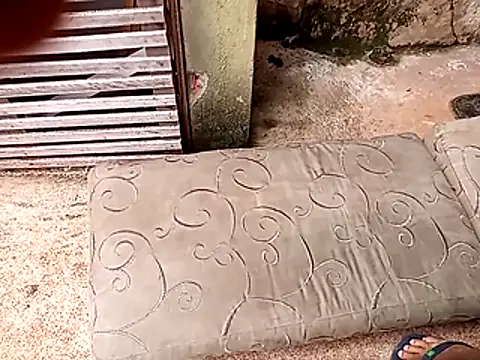 Snapshot of wel9238 chatting on February 2026 04:38:01 PM wel9238 online show from February 2026 04:38:01 PM