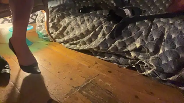 Snapshot of alexheels_boots chatting on December 2025 02:41:02 AM alexheels boots online show from December 2025 02:41:02 AM