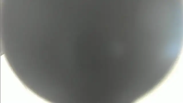 linasantoss online show from January 2025 05:13:01 PM