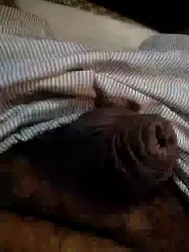 Snapshot of Kinkyluvi chatting on January 2025 11:42:01 PM Kinkyluvi online show from January 2025 11:42:01 PM