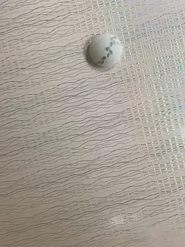 DManL online show from January 2026 07:56:02 AM