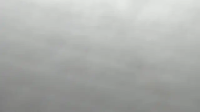 ailey chao online show from March 2026 03:44:02 AM