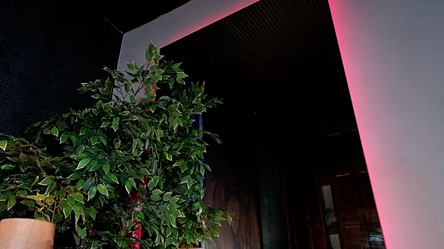 MelodyAdamss online show from May 2026 01:02:04 AM
