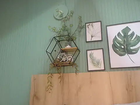 george jonnes online show from November 2025 10:12:02 AM