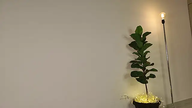 lady ni  online show from December 2025 12:22:01 PM