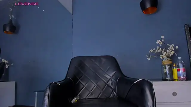 Snapshot of Bryson_Collins_ chatting on March 2025 08:32:02 AM Bryson Collins online show from March 2025 08:32:02 AM