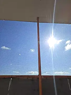 McdyllanXX online show from March 2025 11:40:01 AM