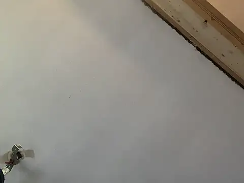 Brando2585 online show from March 2026 02:03:02 PM