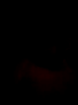 Mahi-00B online show from January 2026 06:12:02 PM