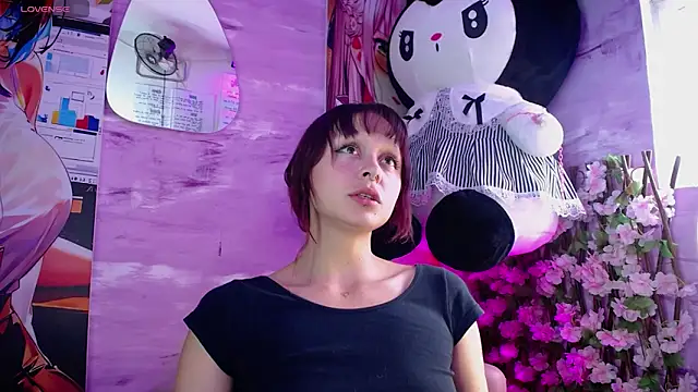 bombom 6 online show from December 2025 05:00:01 PM