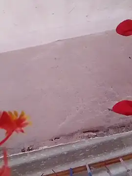 Snapshot of HOTDEEKCHA chatting on March 2025 08:58:02 AM HOTDEEKCHA online show from March 2025 08:58:02 AM