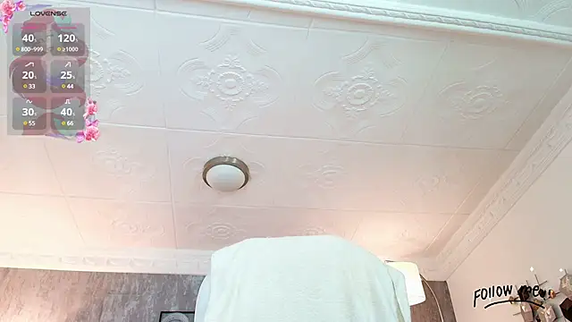 aria li online show from March 2025 12:04:01 PM