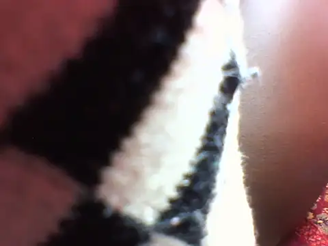 Princess Tamara online show from November 2025 11:36:02 PM