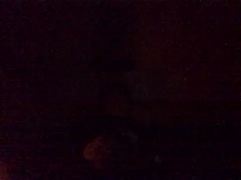 Snapshot of DragonPink chatting on December 2024 12:11:02 AM DragonPink online show from December 2024 12:11:02 AM