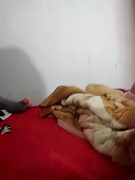 Snapshot of Rose_DiDi chatting on February 2025 11:36:02 AM Rose DiDi online show from February 2025 11:36:02 AM