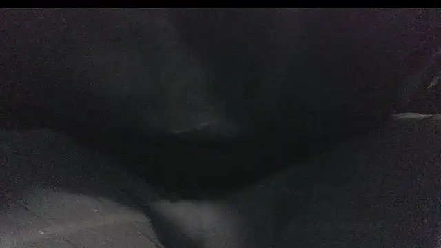 Snapshot of robeaulieu02 chatting on February 2025 06:17:02 AM robeaulieu02 online show from February 2025 06:17:02 AM